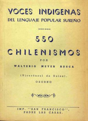 Voces Indigenas Chilenismos