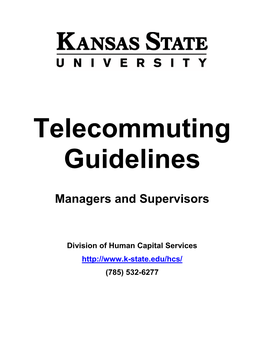 Telecommuting Guidelines