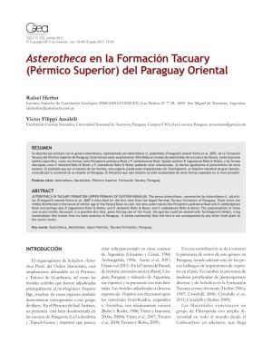Asterotheca En La Formación Tacuary (Pérmico Superior) Del Paraguay Oriental