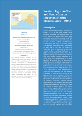 Western Ligurian Sea and Genoa Canyon Important Marine Mammal Area – IMMA