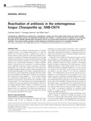 Reactivation of Antibiosis in the Entomogenous Fungus Chrysoporthe Sp. SNB-CN74