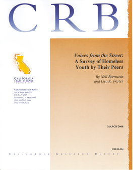 A Survey of Homeless Youth by Their Peers
