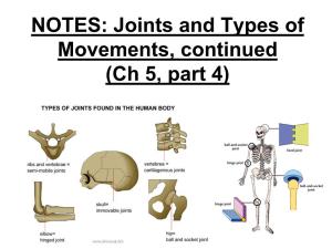 NOTES: Joints and Types of Movements, Continued (Ch 7, Part 4)