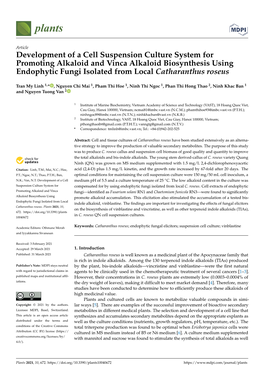 Development of a Cell Suspension Culture System for Promoting Alkaloid and Vinca Alkaloid Biosynthesis Using Endophytic Fungi Isolated from Local Catharanthus Roseus