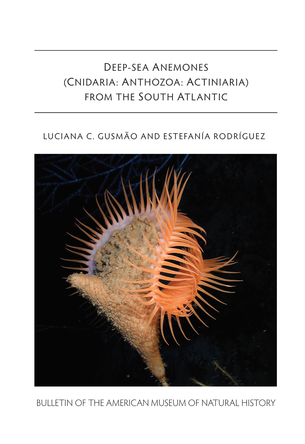 Deep-Sea Anemones (Cnidaria: Anthozoa: Actiniaria) from the South Atlantic