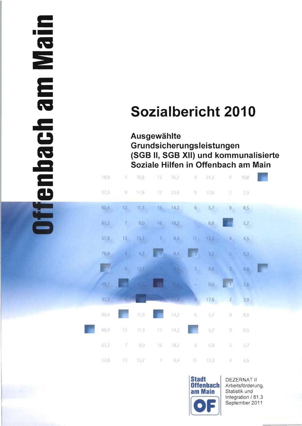 Sozialbericht Stadt Offenbach Am Main 2008