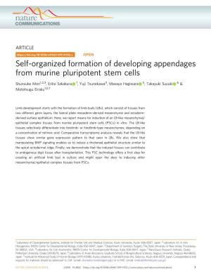 Self-Organized Formation of Developing Appendages from Murine Pluripotent Stem Cells