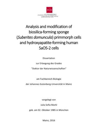 (Suberites Domuncula) Primmorph Cells and Hydroxyapatite‐Forming Human Saos‐2 Cells