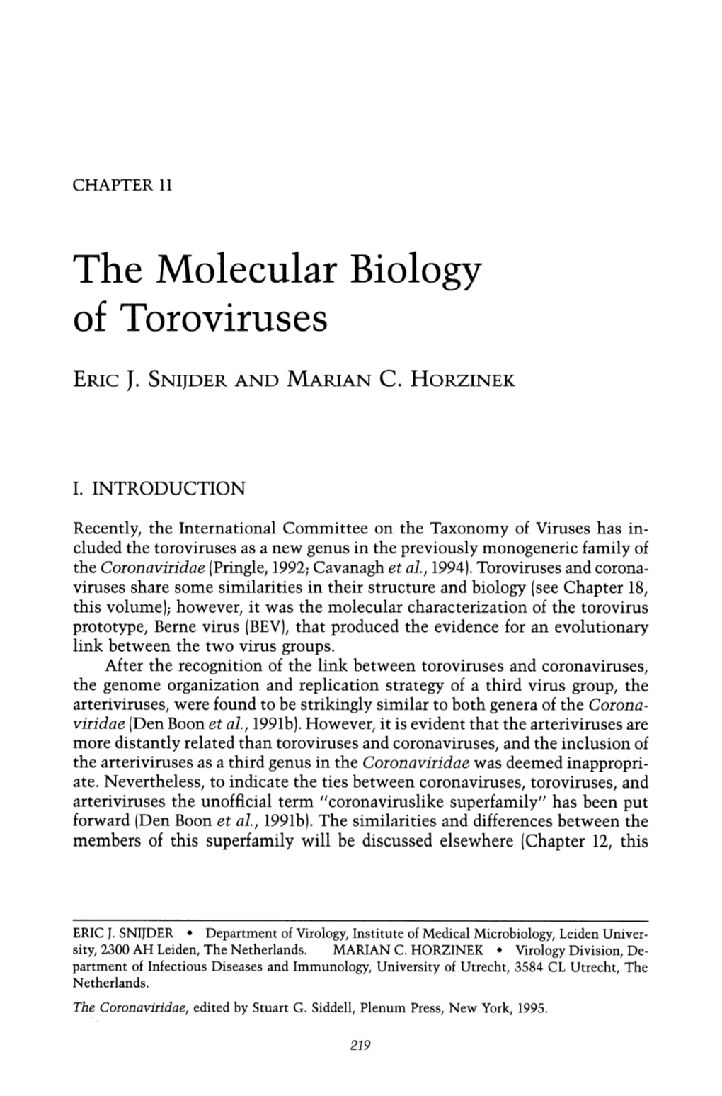 The Molecular Biology of Toroviruses