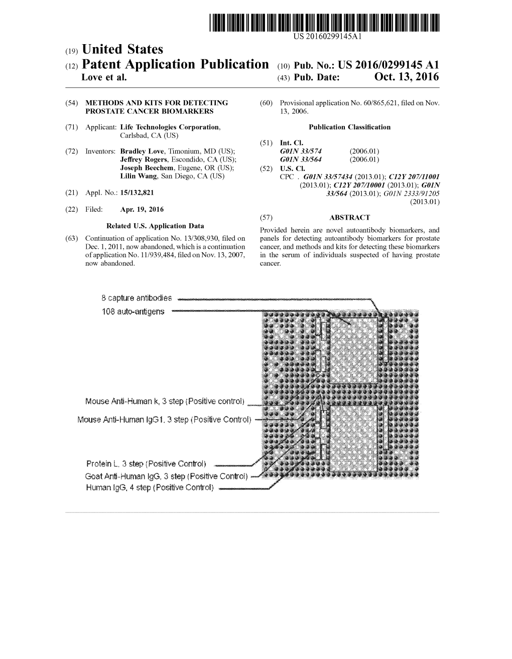 (12) Patent Application Publication (10) Pub. No.: US 2016/0299145 A1 Love Et Al