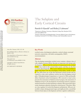 Kanold the Subplate and Early Cortical Circuits