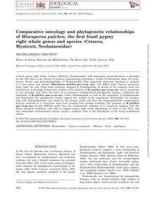 Comparative Osteology and Phylogenetic Relationships Of