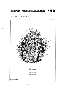 VOLUME 3 NUMBER 15 COPIAPOA MONTANA Actual Size