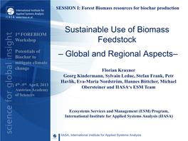 Sustainable Use of Biomass Feedstock – Global and Regional