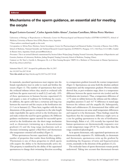 Mechanisms of the Sperm Guidance, an Essential Aid for Meeting the Oocyte