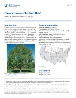 Quercus Prinus: Chestnut Oak1 Edward F