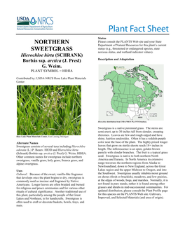 Northern Sweetgrass (Hierochloe Hirta) Plant Fact Sheet