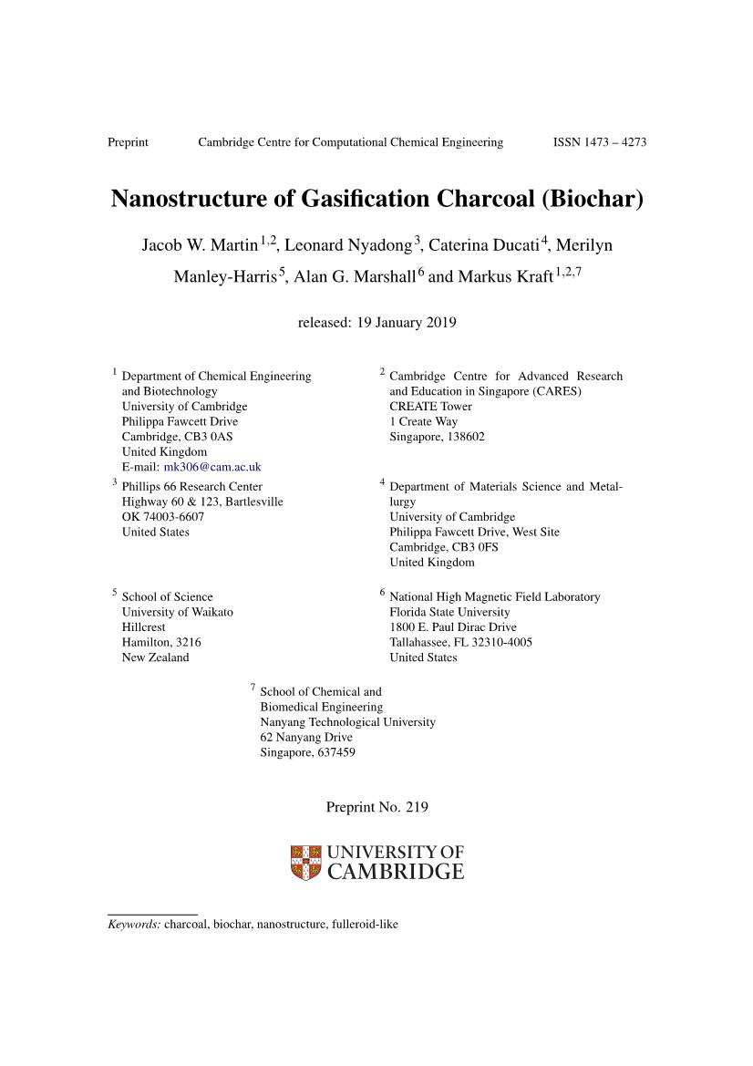 Nanostructure of Gasification Charcoal (Biochar)