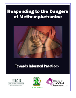 Responding to the Meth Problem: Towards Informed Practice