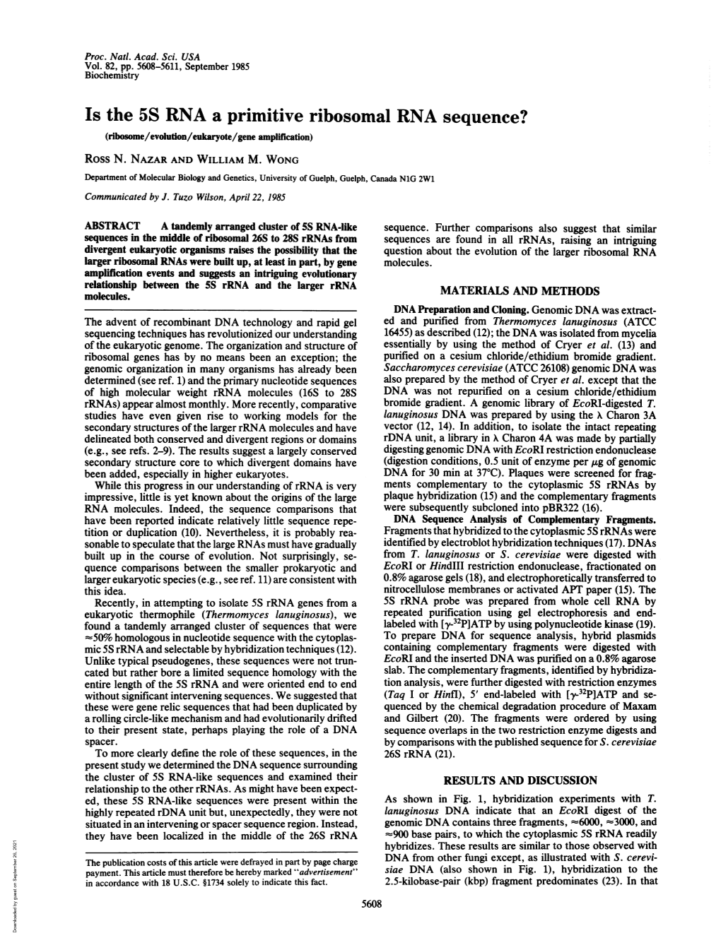 Is the 5S RNA a Primitive Ribosomal RNA Sequence? (Ribosome/Evolutlon/Eukaryote/Gene Amplification) Ross N
