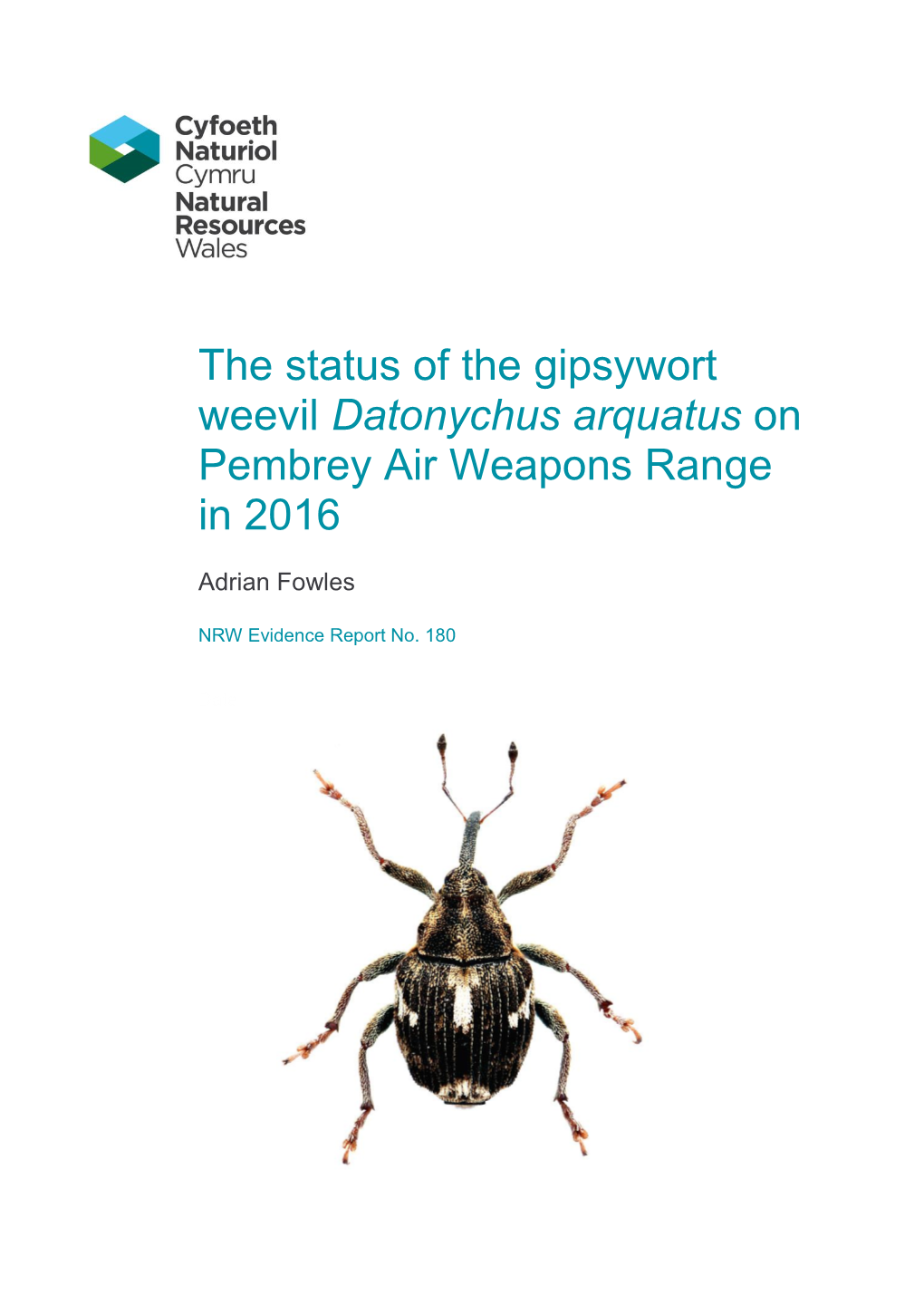 The Status of the Gipsywort Weevil Datonychus Arquatus on Pembrey Air Weapons Range in 2016