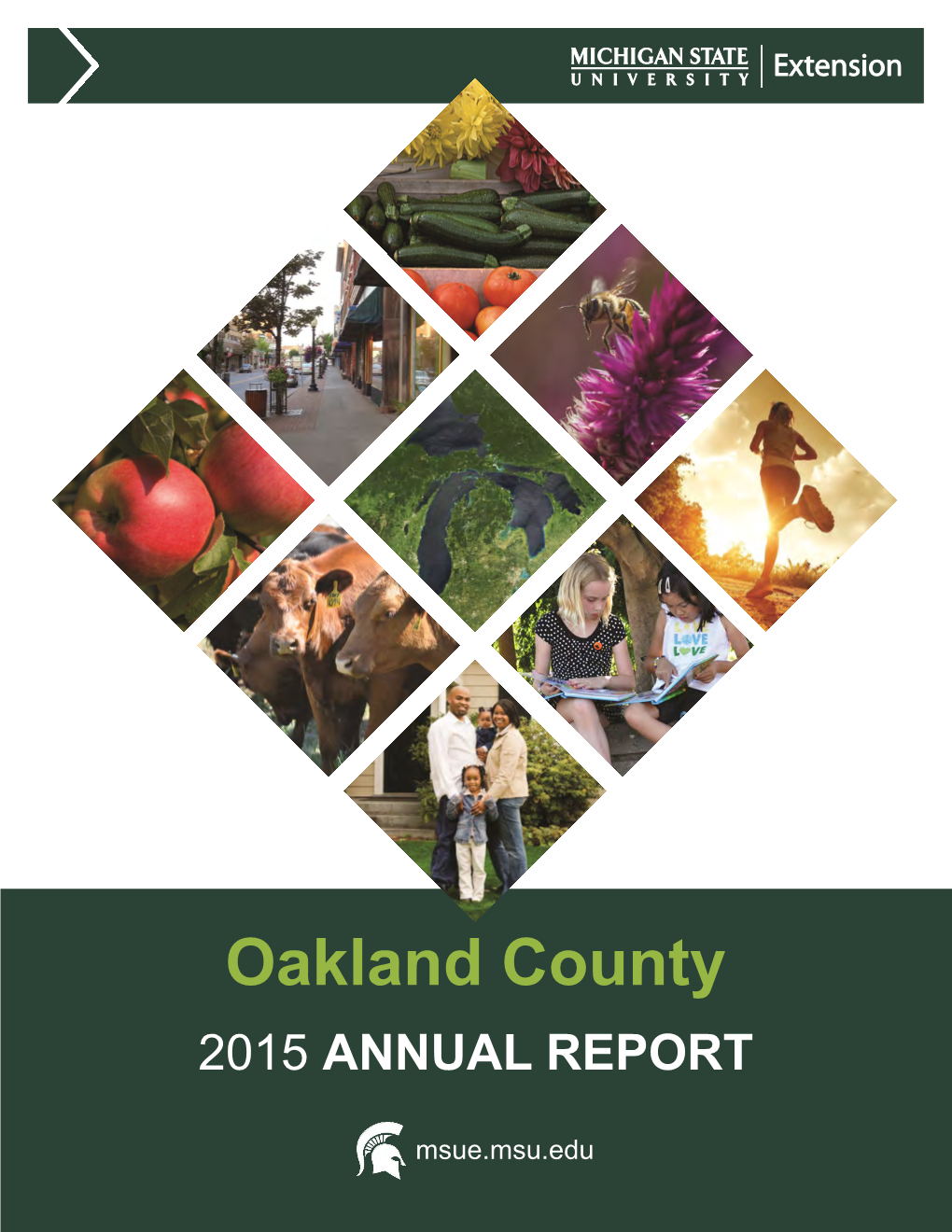 Oakland County 2015 ANNUAL REPORT