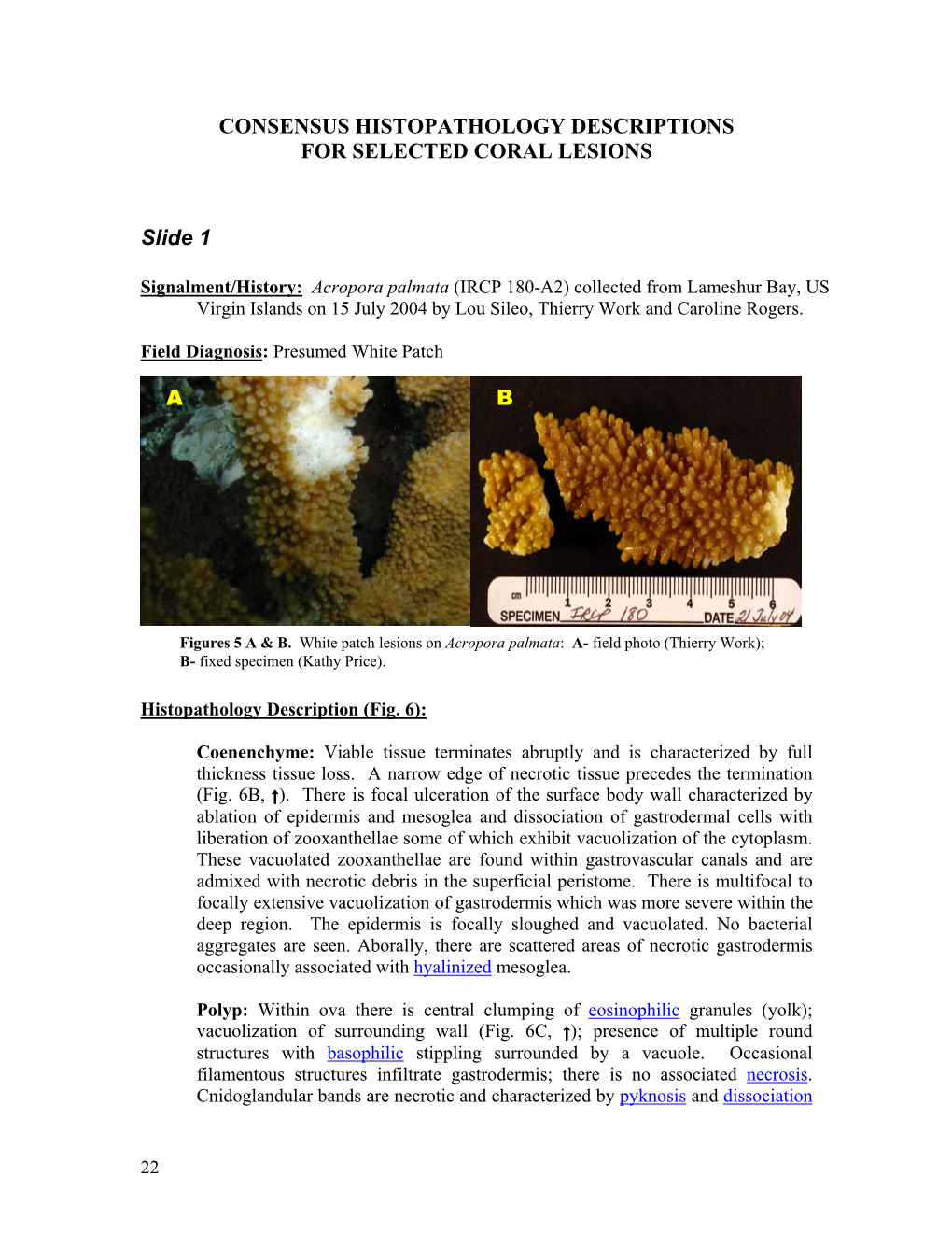 Coral Histopathology II