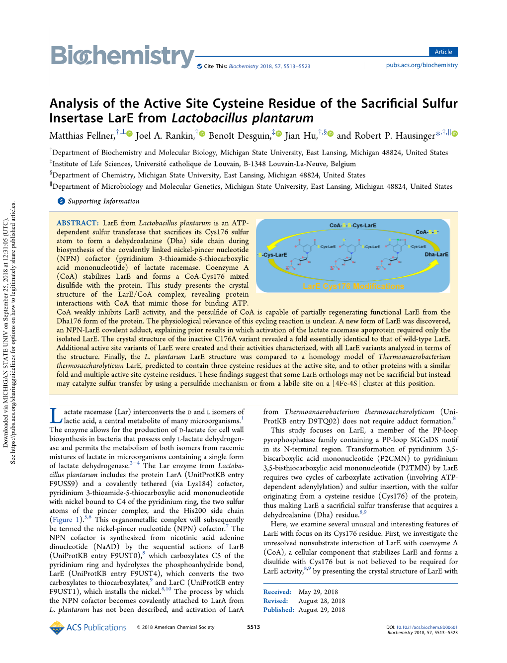 Analysis of the Active Site Cysteine Residue of the Sacrificial Sulfur