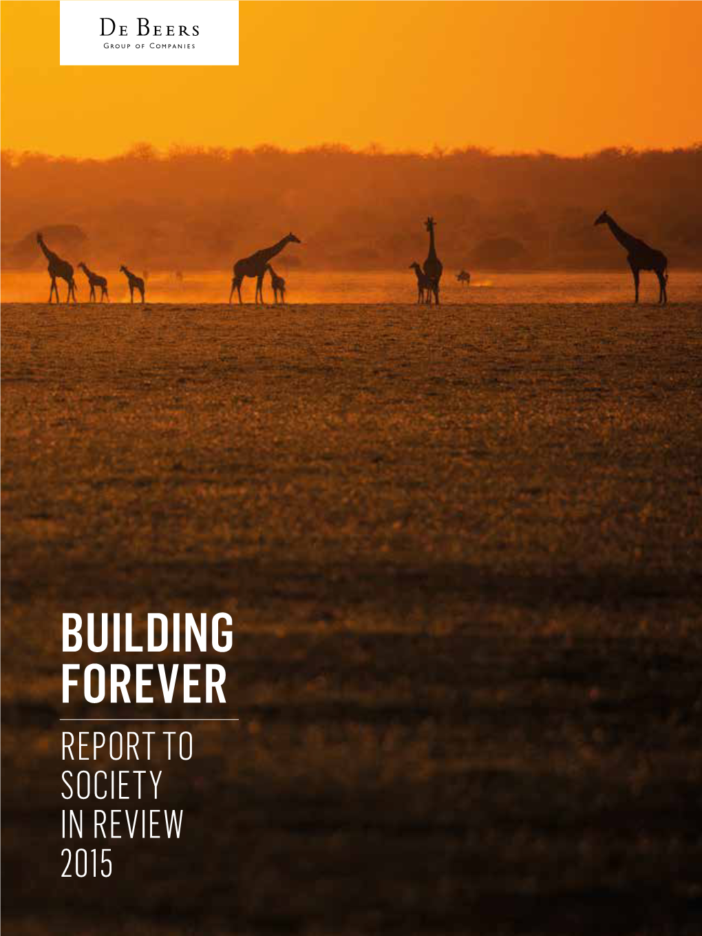 De Beers Report to Society in Review 2015