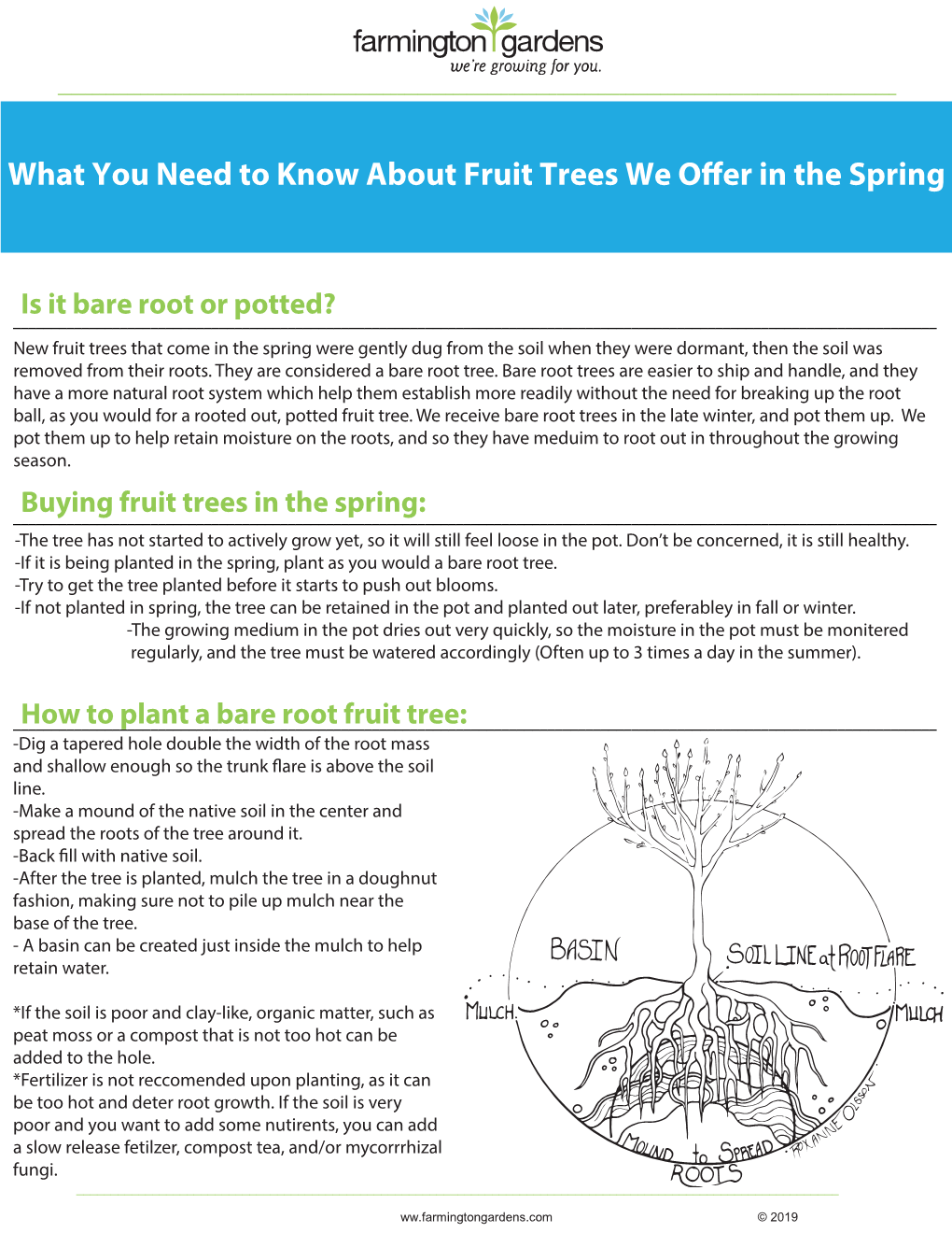 04 Spring Fruit Trees and Bare Root Planting