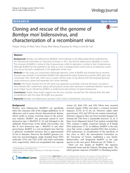 Cloning and Rescue of the Genome of Bombyx Mori Bidensovirus, And