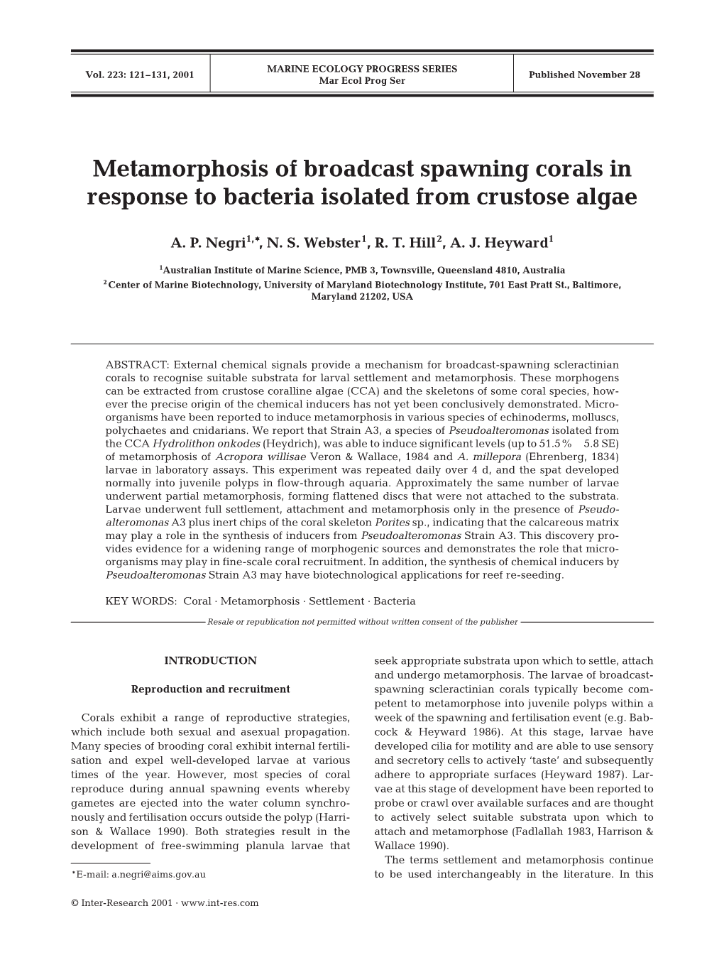 Metamorphosis of Broadcast Spawning Corals in Response to Bacteria Isolated from Crustose Algae