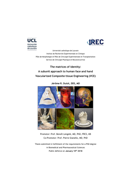 A Subunit Approach to Human Face and Hand Vascularized Composite Tissue Engineering (VCE)