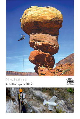Activities Report 2012