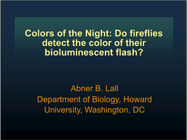 Do Fireflies Detect the Color of Their Bioluminescent Flash?
