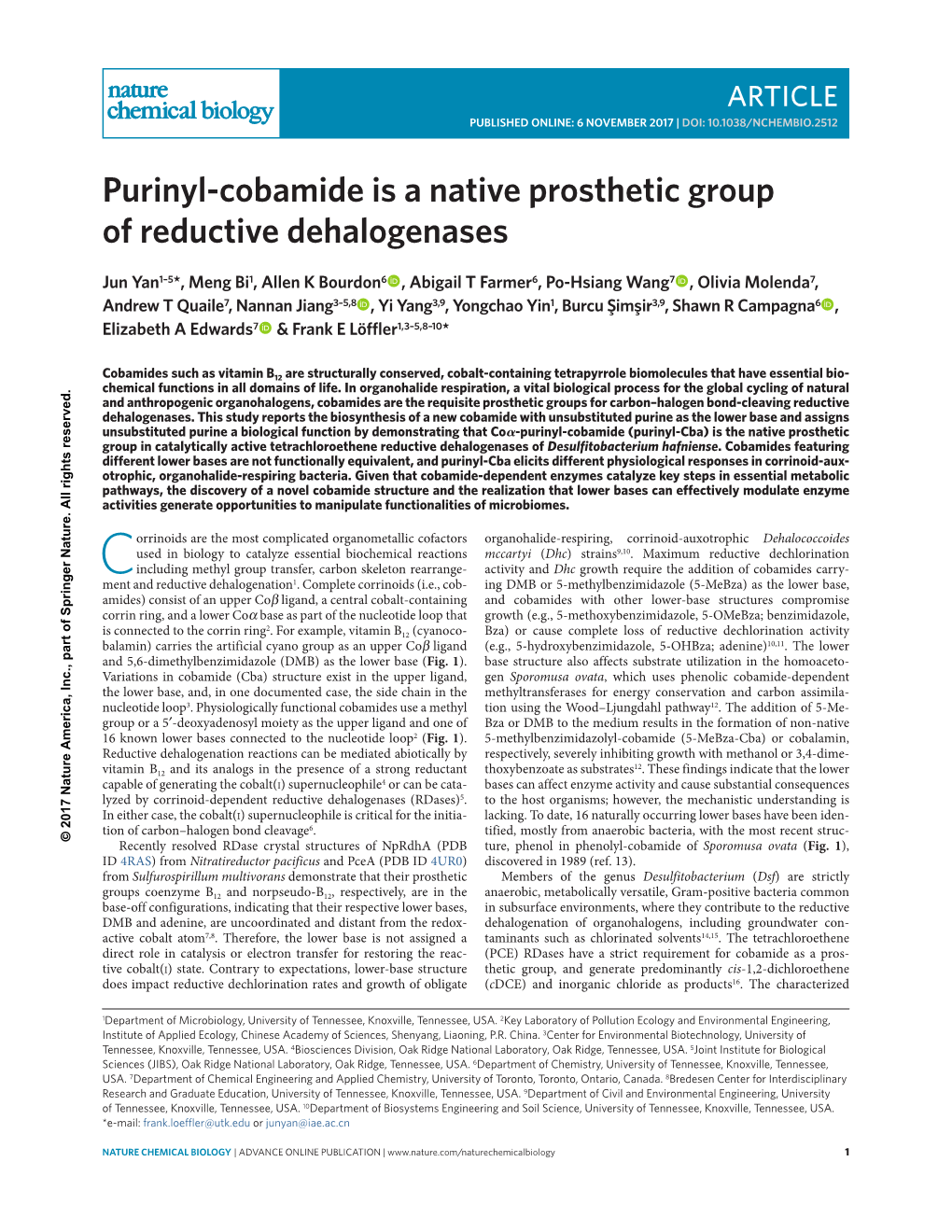 Purinyl-Cobamide Is a Native Prosthetic Group of Reductive