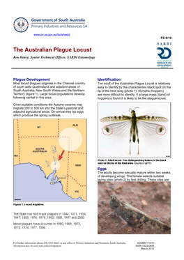 The Australian Plague Locust Ken Henry, Senior Technical Officer, SARDI Entomology