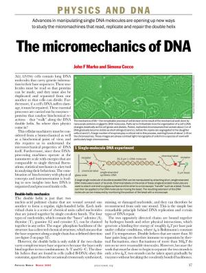 The Micromechanics of DNA