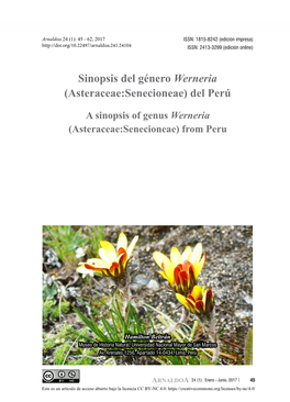 Sinopsis Del Género Werneria (Asteraceae:Senecioneae) Del Perú