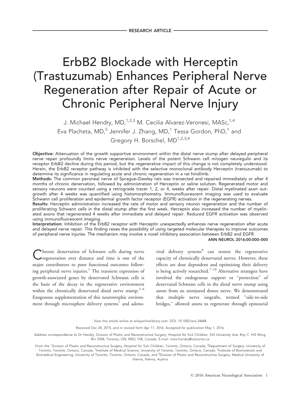 Herceptin Enhances Nerve Regeneration Following Acute and Chronic Denervation