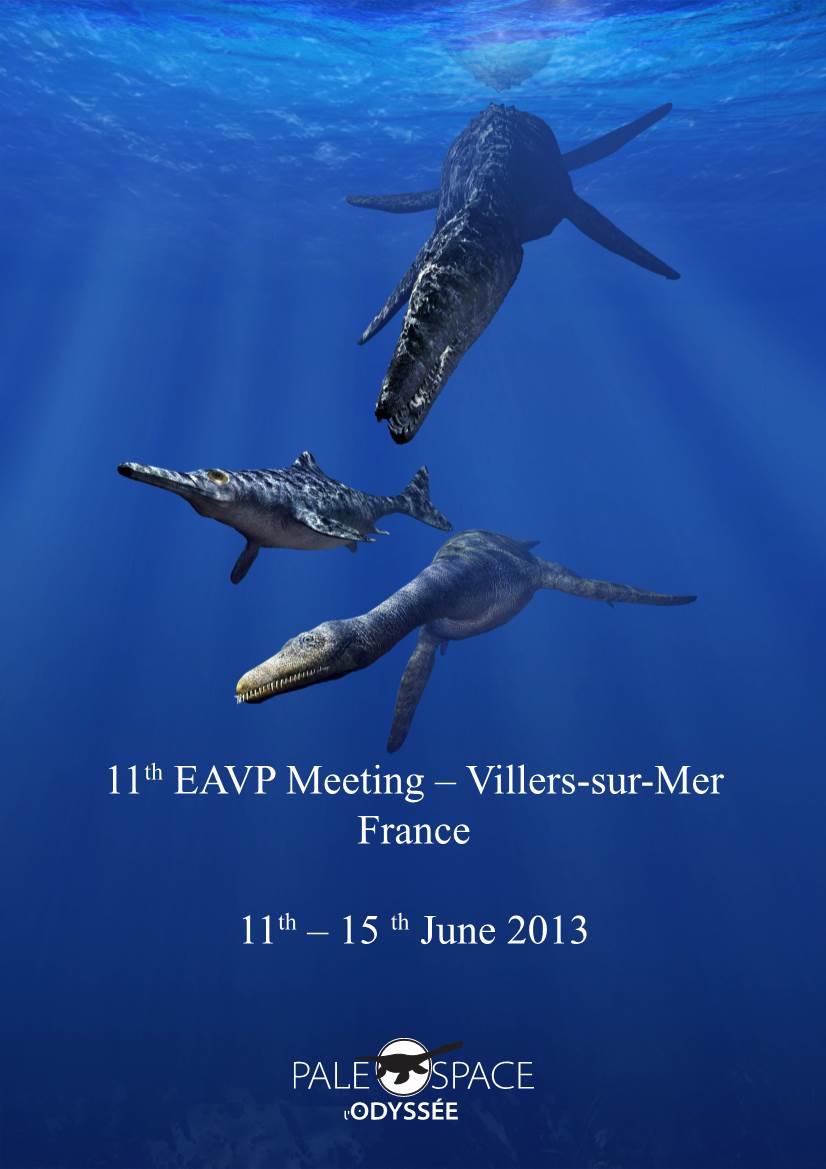 11Th EAVP Meeting – Villers-Sur-Mer France 11Th – 15 Th June 2013