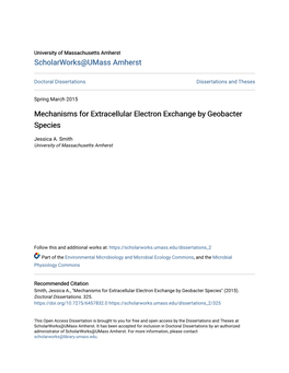 Mechanisms for Extracellular Electron Exchange by Geobacter Species
