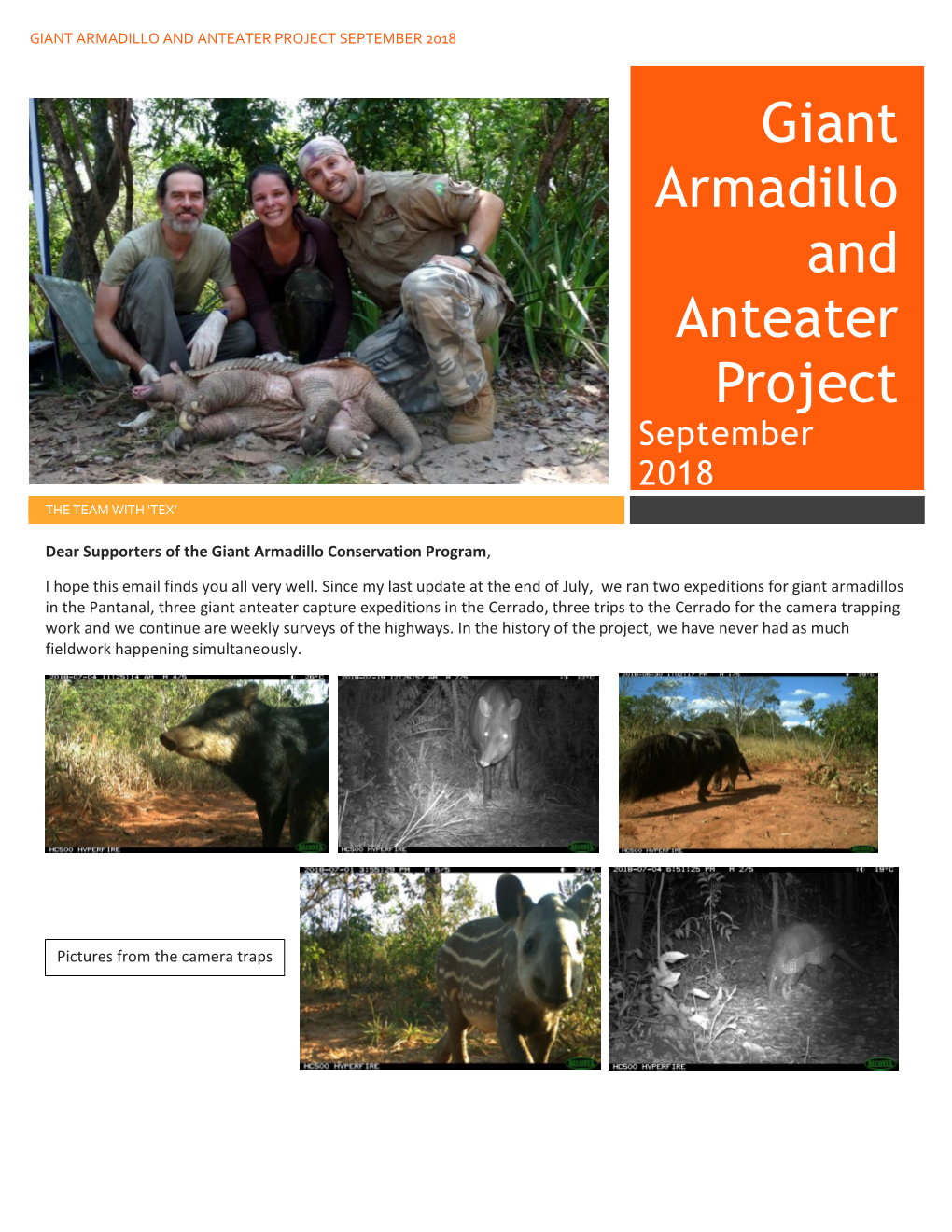 Giant Armadillo and Anteater Project September 2018