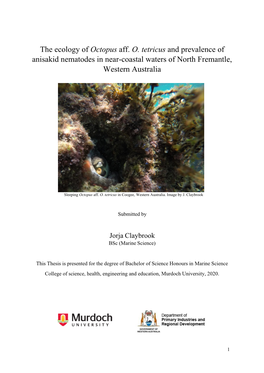 The Ecology of Octopus Aff. O. Tetricus and Prevalence of Anisakid Nematodes in Near-Coastal Waters of North Fremantle, Western Australia