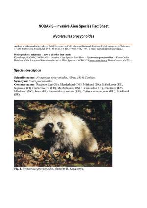 Invasive Alien Species Fact Sheet – Nyctereutes Procyonoides