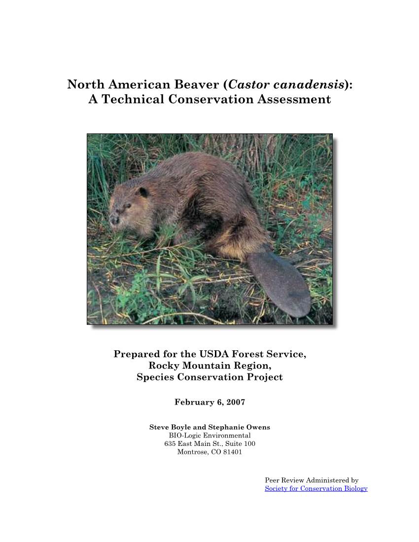 North American Beaver (Castor Canadensis): a Technical Conservation Assessment