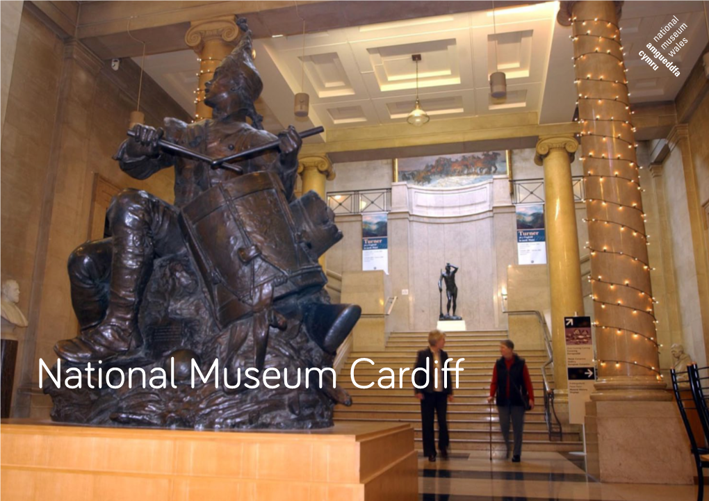 National Museum Cardiff Background Information