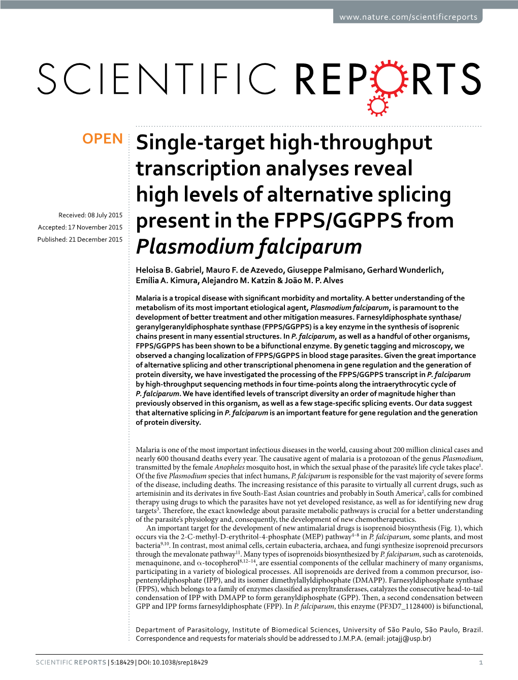 Single-Target High-Throughput Transcription Analyses Reveal High