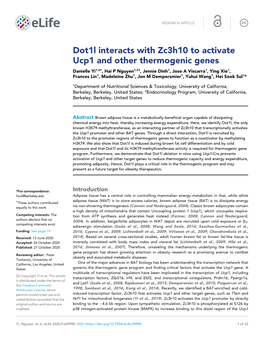 Dot1l Interacts with Zc3h10 to Activate Ucp1 and Other Thermogenic Genes