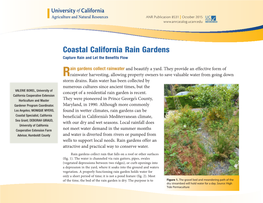 Coastal California Rain Gardens Capture Rain and Let the Benefits Flow